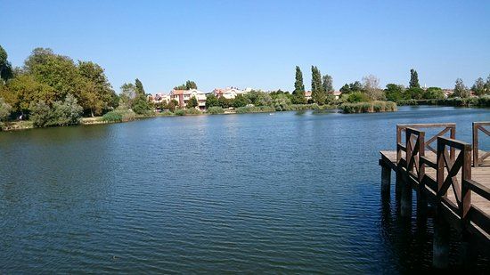 Parco del Gelso